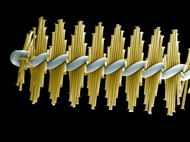 То, что таится у вас во рту, очень крупным планом То, что таится у вас во рту, очень крупным планом