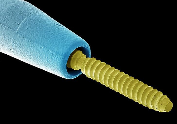 То, что таится у вас во рту, очень крупным планом То, что таится у вас во рту, очень крупным планом