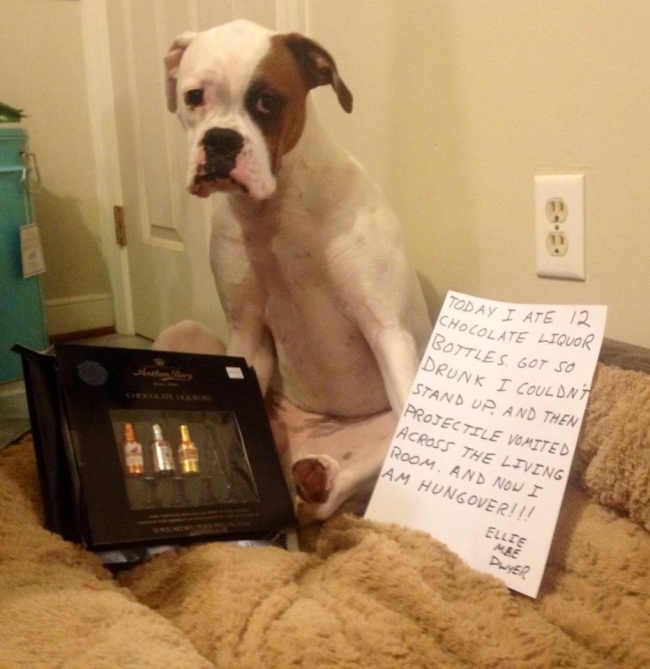 26 человек, которым явно не стоило делать этот последний глоток