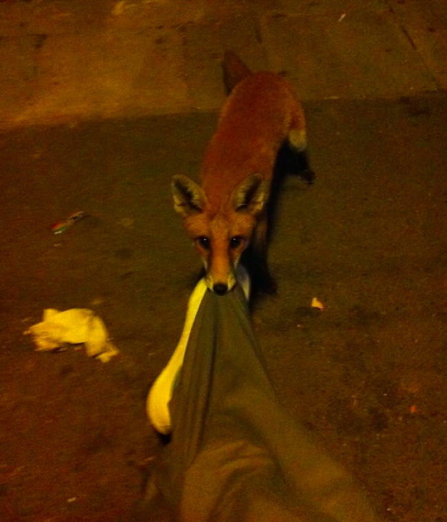 26 человек, которым явно не стоило делать этот последний глоток