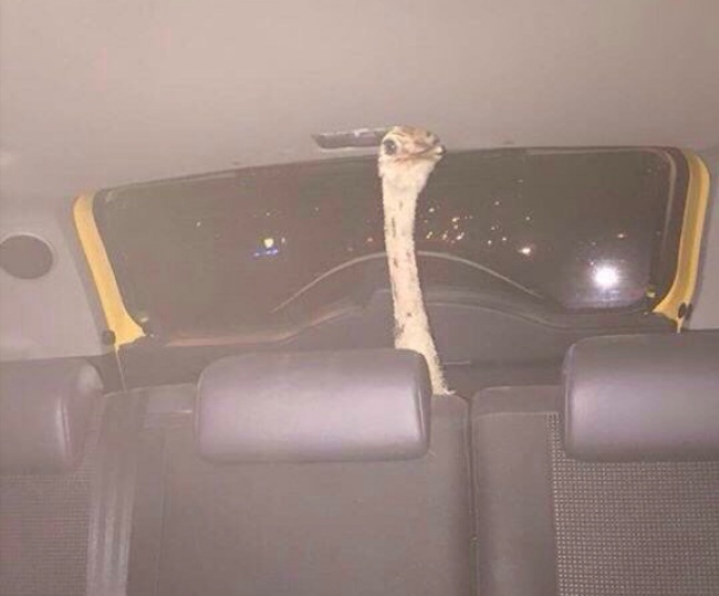 26 человек, которым явно не стоило делать этот последний глоток