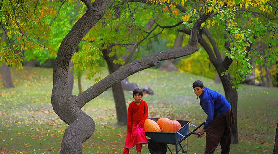 Феномен долголетия племени Хунза Феномен долголетия племени Хунза