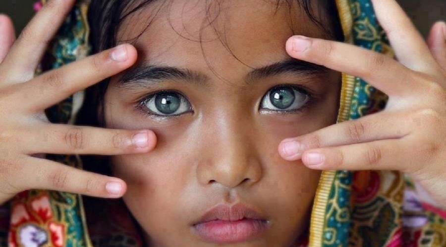 Феномен долголетия племени Хунза Феномен долголетия племени Хунза