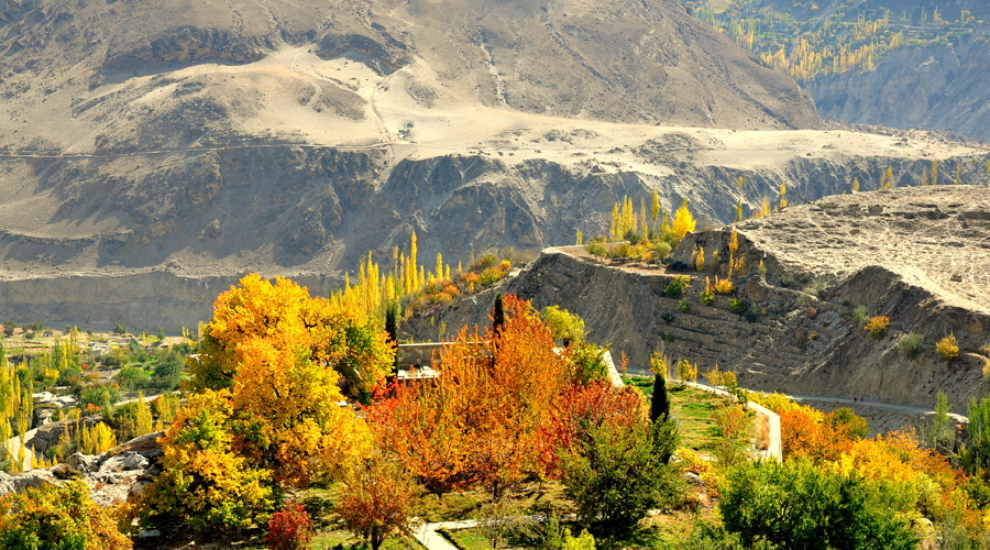 Феномен долголетия племени Хунза Феномен долголетия племени Хунза