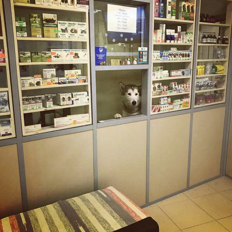 Удивительные снимки с российских просторов