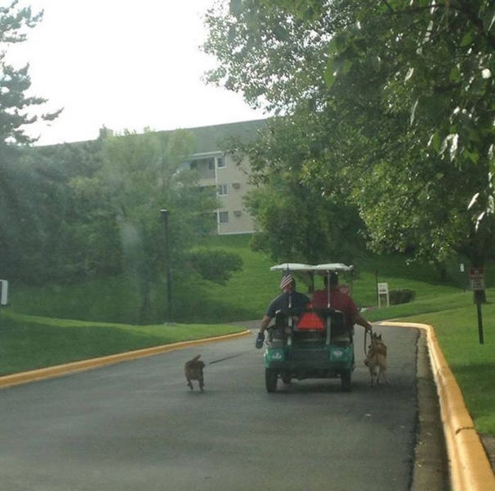 Лень — один из двигателей прогресса