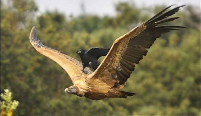 Лень — один из двигателей прогресса