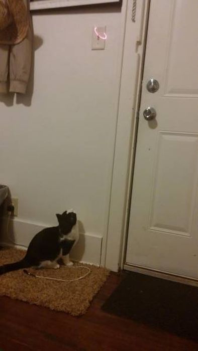 Лень — один из двигателей прогресса