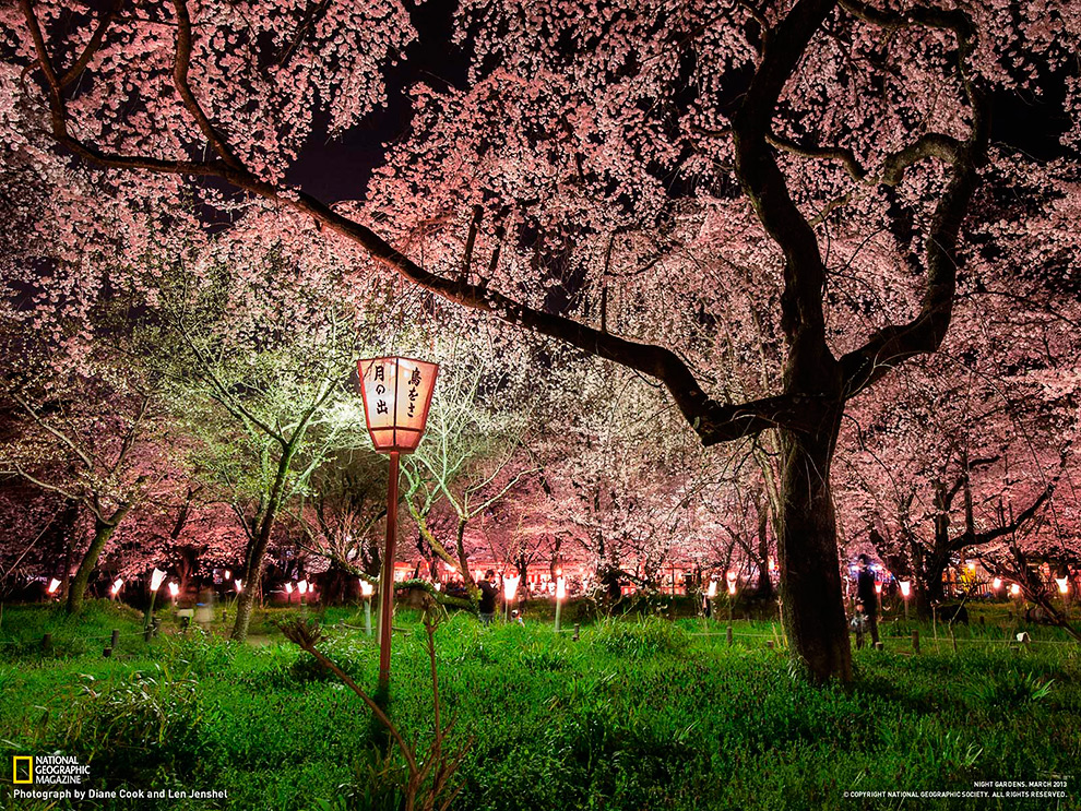 National Geographic: лучшие фотографии марта