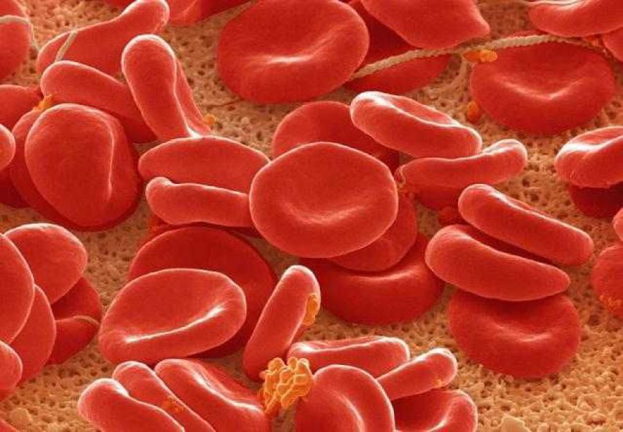 50 фактов о теле человека, свидетельствующих о сверхспособностях  (5 фото)