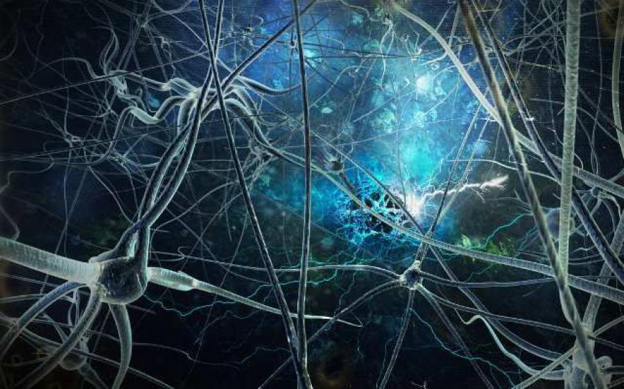 50 фактов о теле человека, свидетельствующих о сверхспособностях  (5 фото)