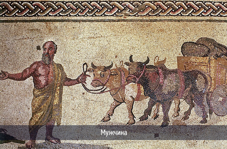 Обычные сутки рядового гражданина Эллады Обычные сутки рядового гражданина Эллады