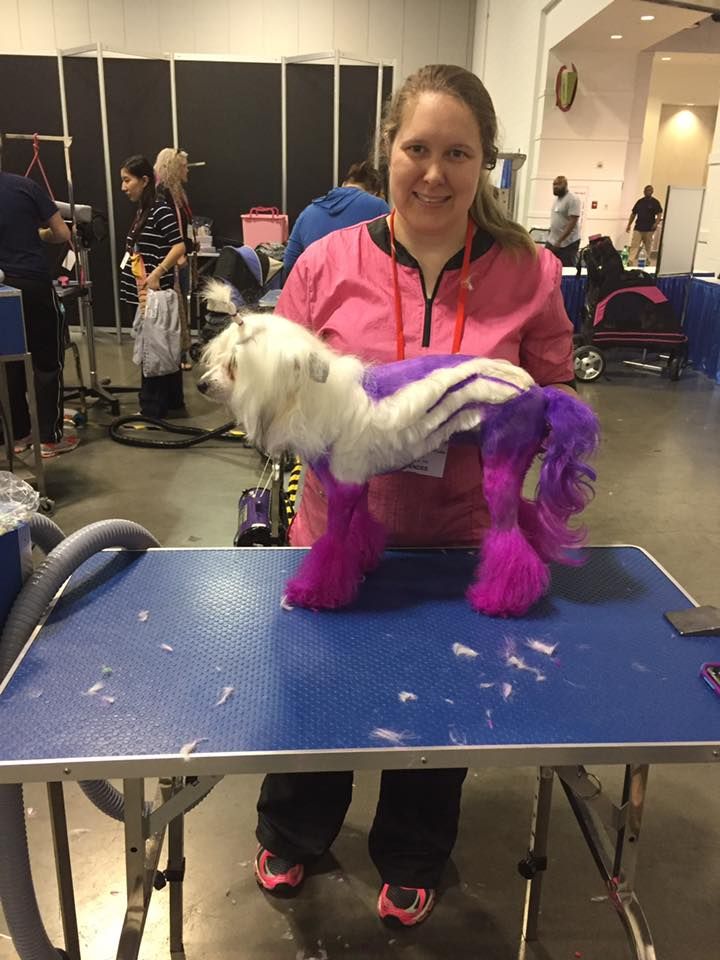 Грумер постоянно красит свою собаку, чтобы та была похожа на дракона, зебру или хиппи