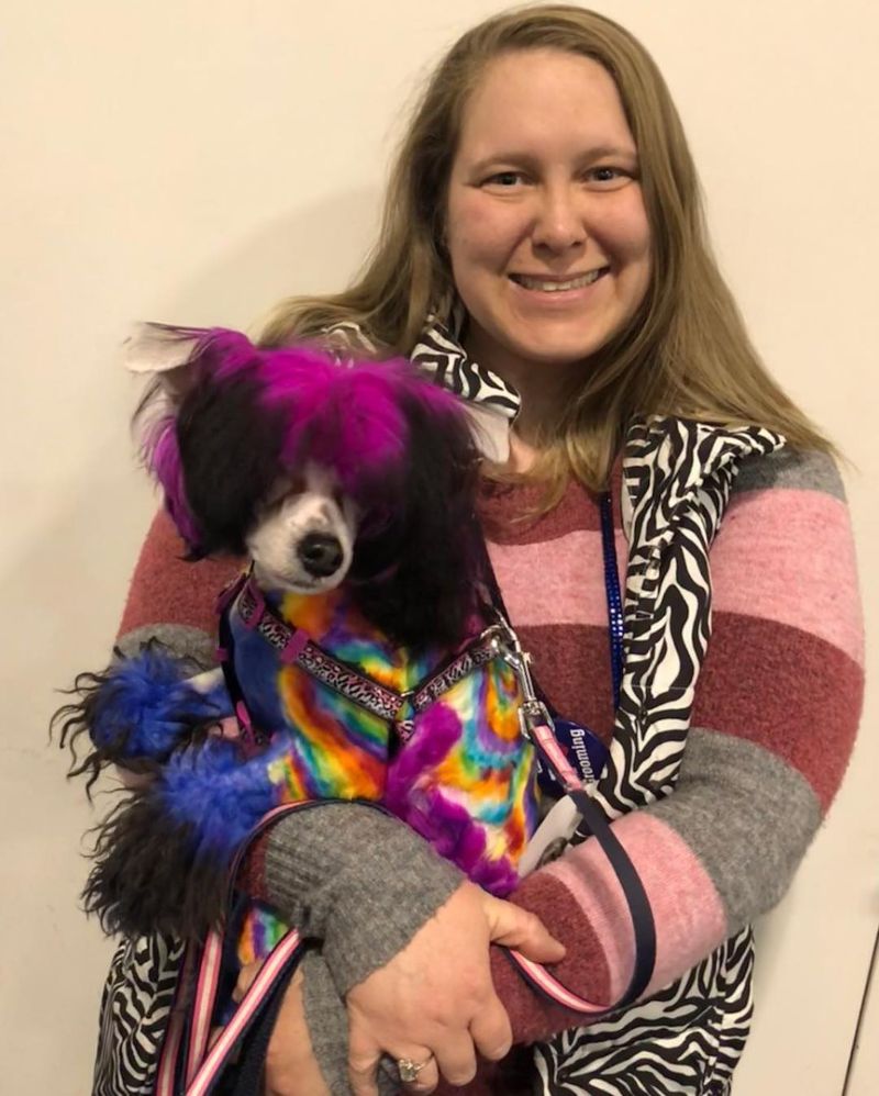 Грумер постоянно красит свою собаку, чтобы та была похожа на дракона, зебру или хиппи