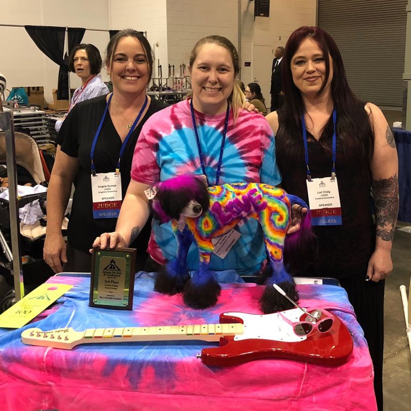 Грумер постоянно красит свою собаку, чтобы та была похожа на дракона, зебру или хиппи