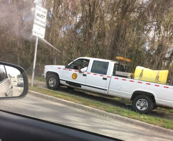 Лентяи и их идеи