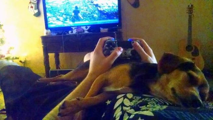 Лентяи и их идеи