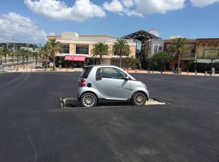 Лентяи и их идеи