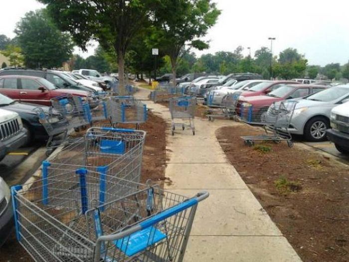 Лентяи и их идеи