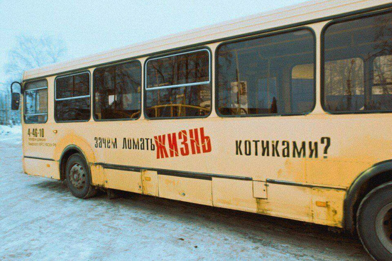 Удивительные снимки с российских просторов