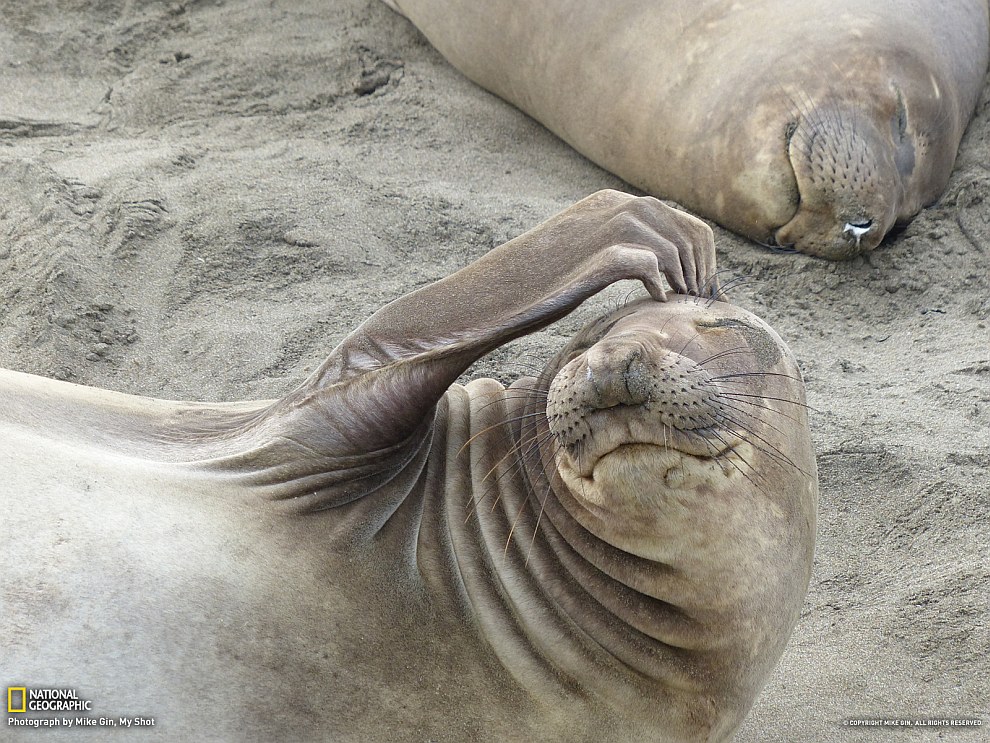 National Geographic: лучшие фотографии апреля National Geographic: лучшие фотографии апреля