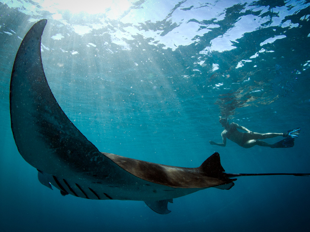 National Geographic: лучшие фотографии апреля National Geographic: лучшие фотографии апреля