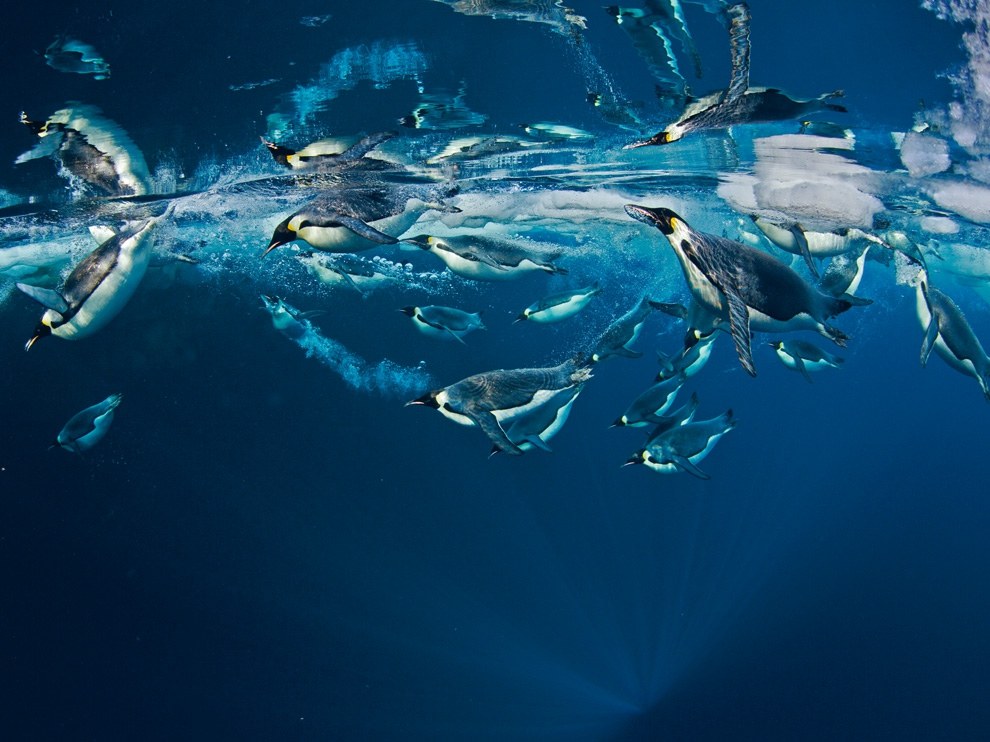 National Geographic: лучшие фотографии апреля National Geographic: лучшие фотографии апреля