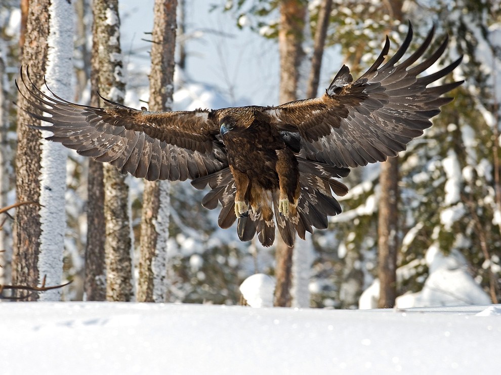 National Geographic: лучшие фотографии апреля National Geographic: лучшие фотографии апреля