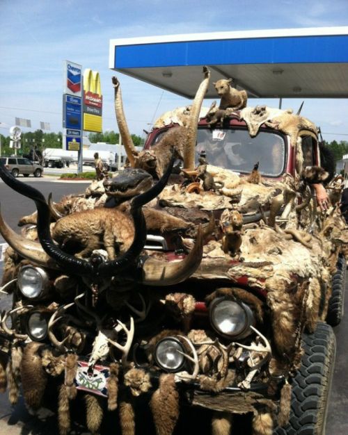 Авто-юмор. Часть 17 (35 фото)