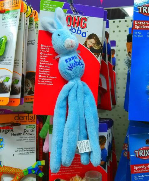 Странности вокруг нас