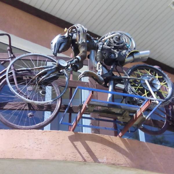 Странности вокруг нас