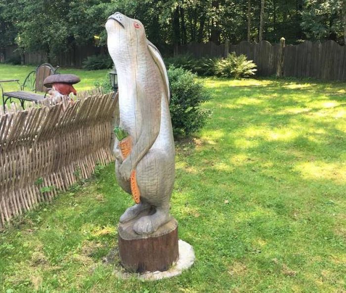 Странности вокруг нас