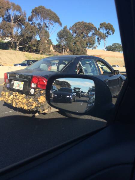 Странности вокруг нас