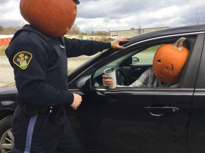 Странности из Канады