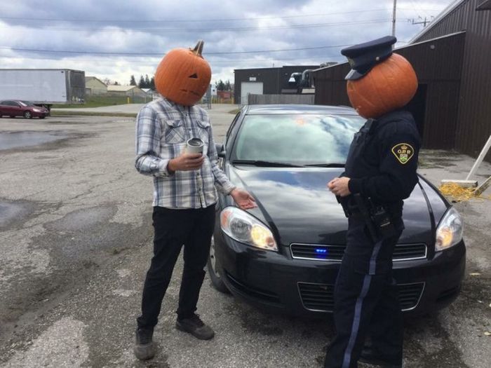 Странности из Канады