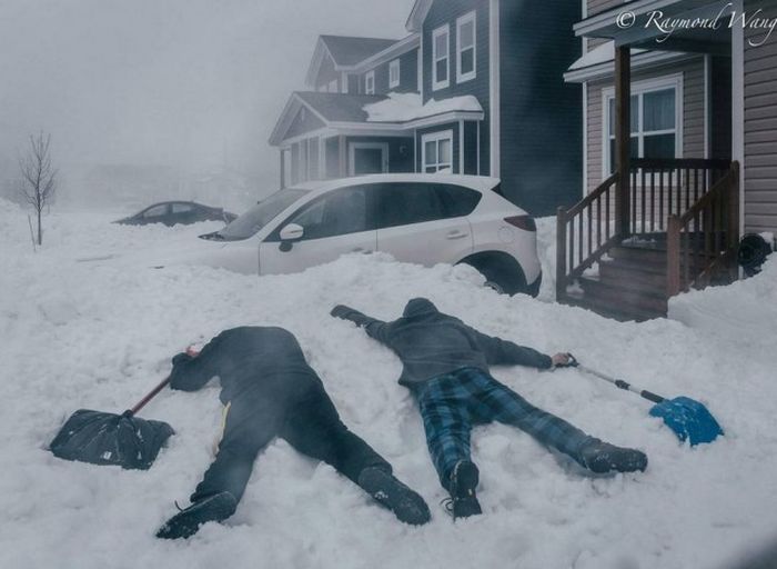 Странности из Канады