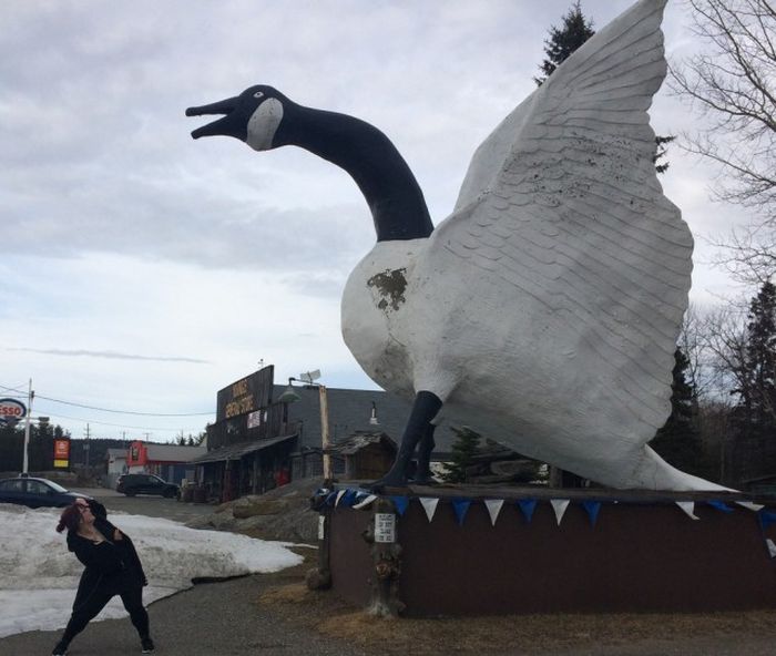 Странности из Канады