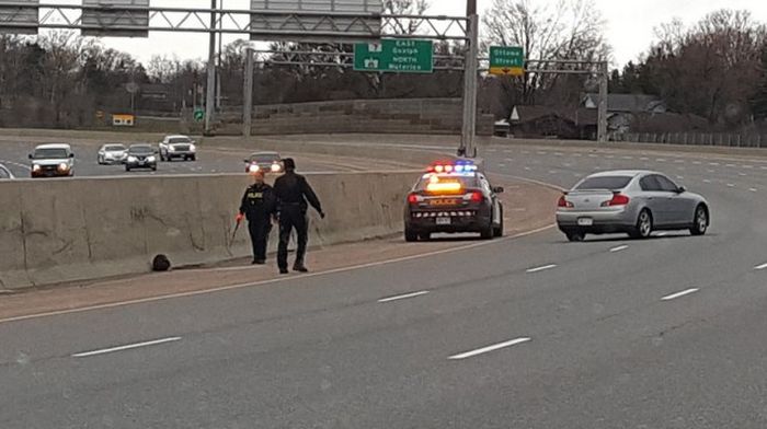 Странности из Канады