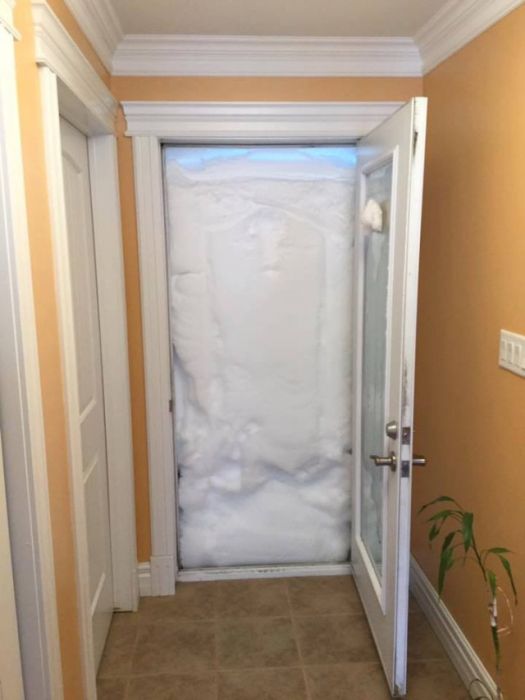 Странности из Канады