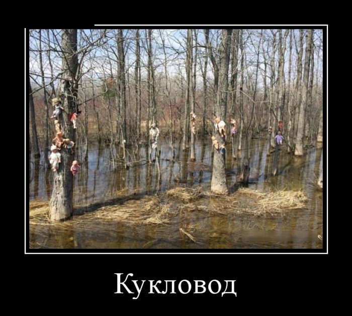 Демотиваторы