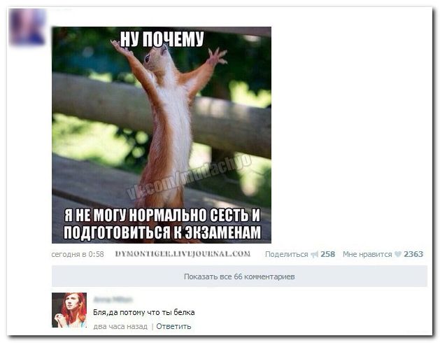 Веселые комментарии из социальных сетей  (40 фото)