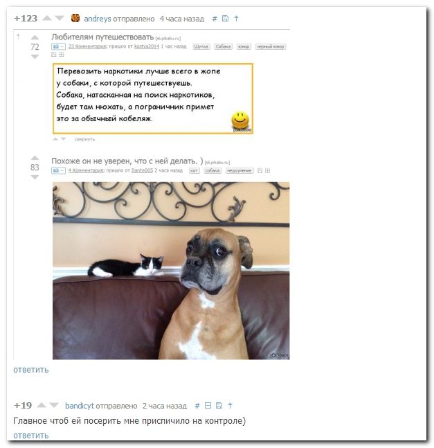Веселые комментарии из социальных сетей  (40 фото)