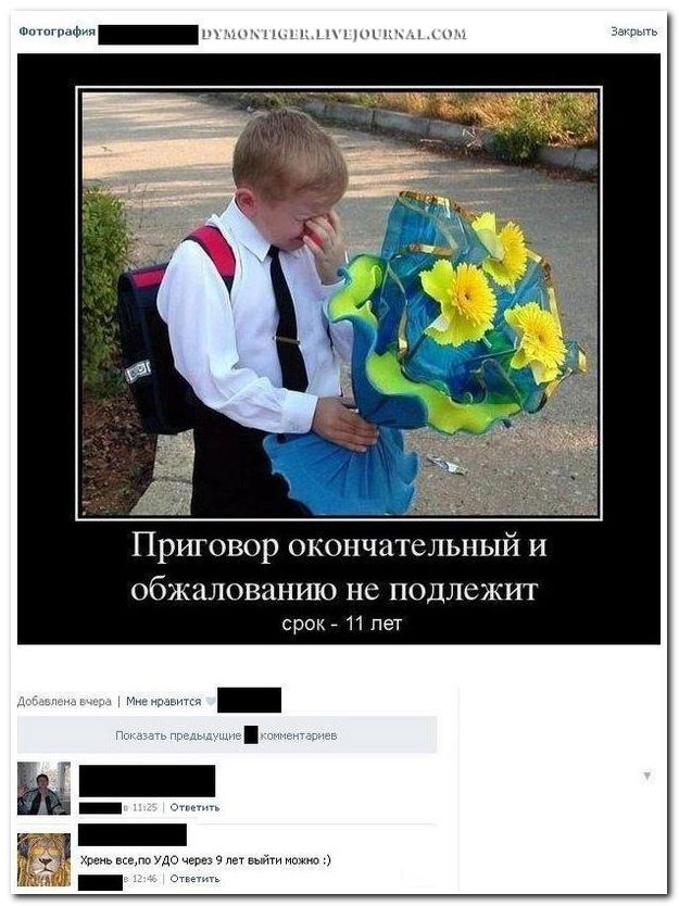 Веселые комментарии из социальных сетей  (40 фото)