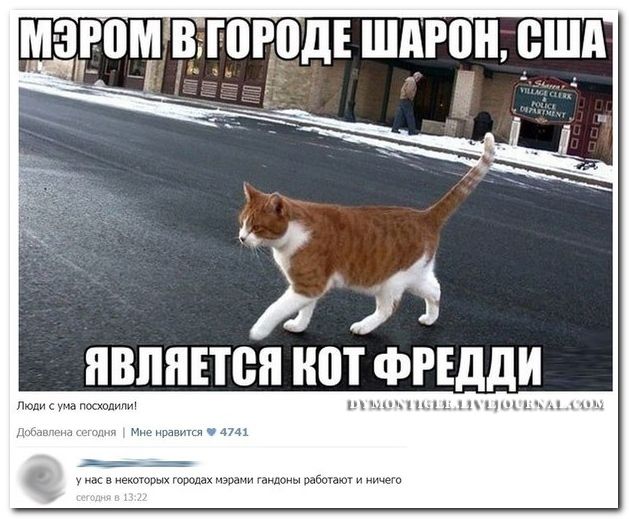 Веселые комментарии из социальных сетей  (40 фото)