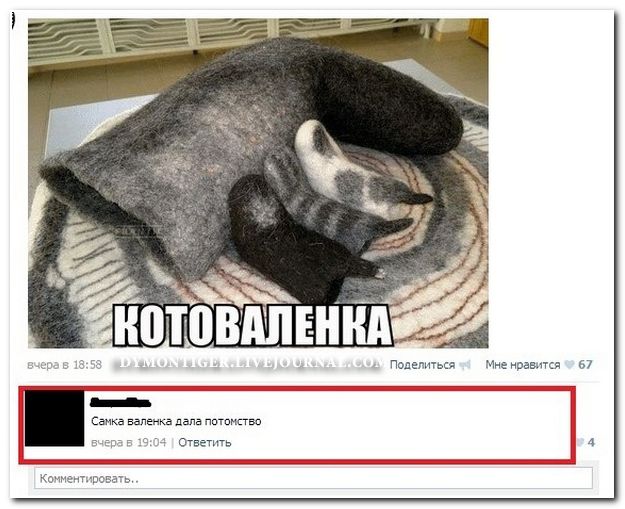 Веселые комментарии из социальных сетей  (40 фото)