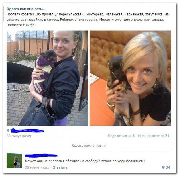 Веселые комментарии из социальных сетей  (40 фото)