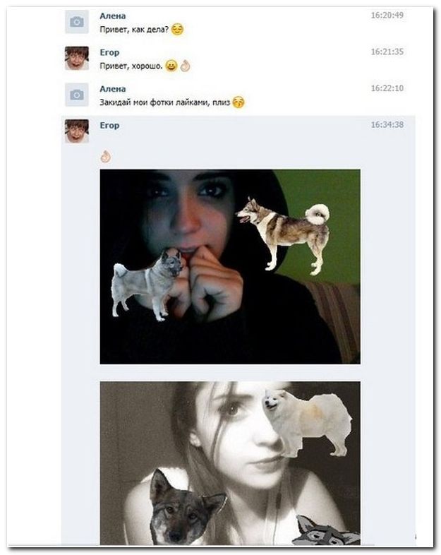 Веселые комментарии из социальных сетей  (40 фото)