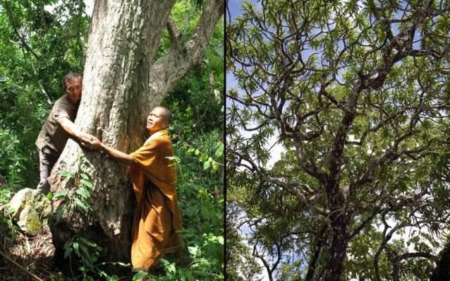 Новые виды флоры и фауны, открытые в 2014 году (10 фото) Новые виды флоры и фауны, открытые в 2014 году (10 фото)