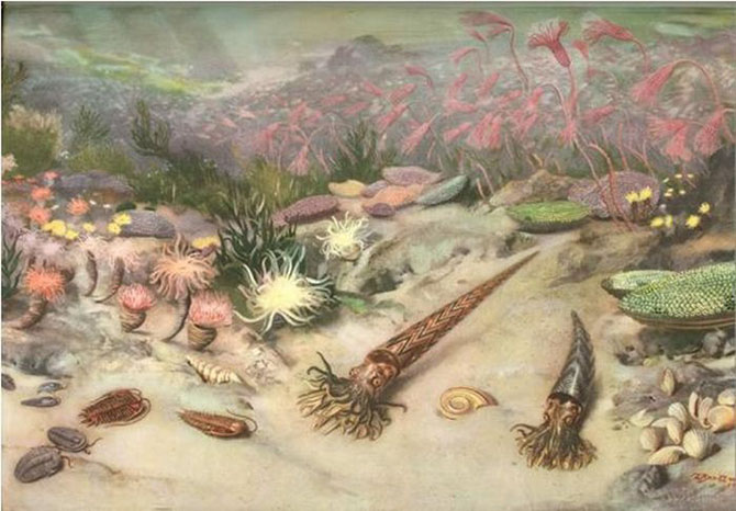 5 самых массовых вымираний животных 5 самых массовых вымираний животных