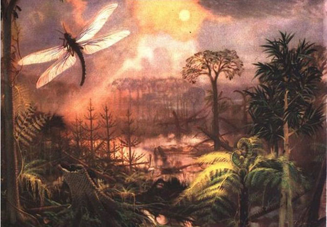 5 самых массовых вымираний животных 5 самых массовых вымираний животных